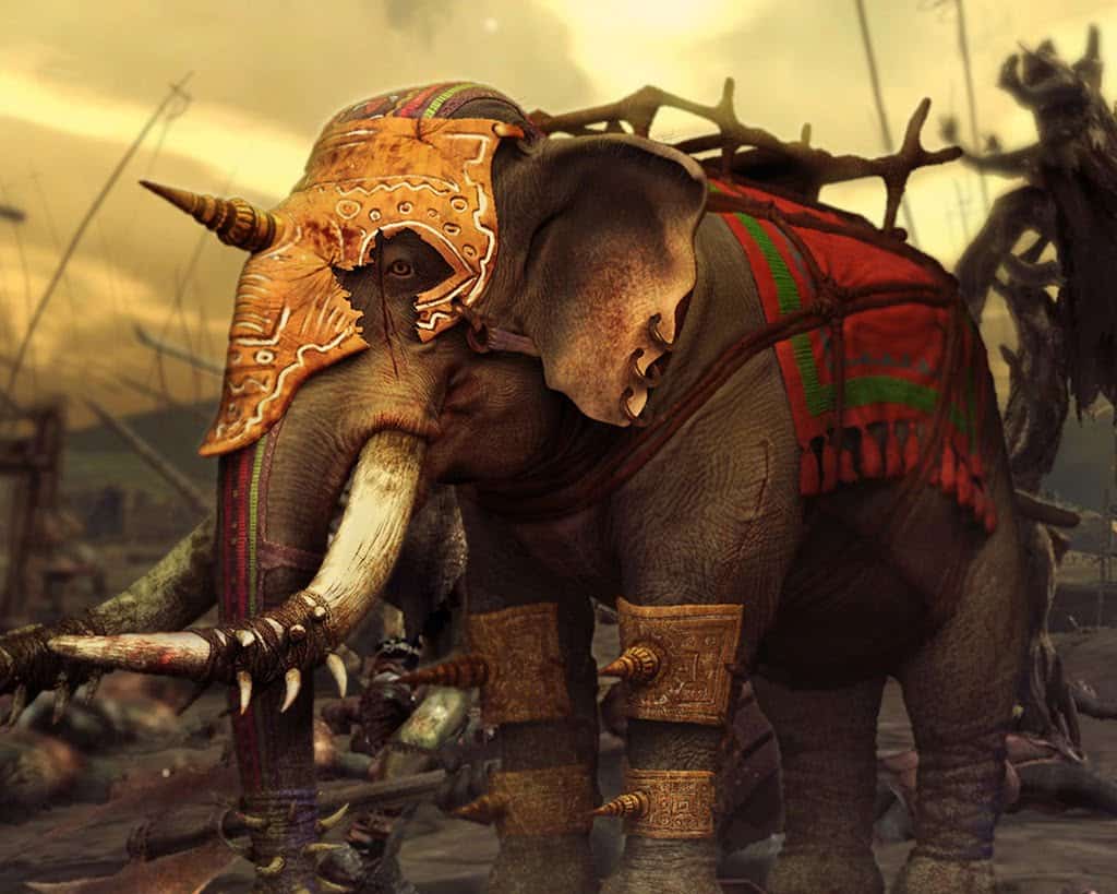 Eléphant prêt pour le combat