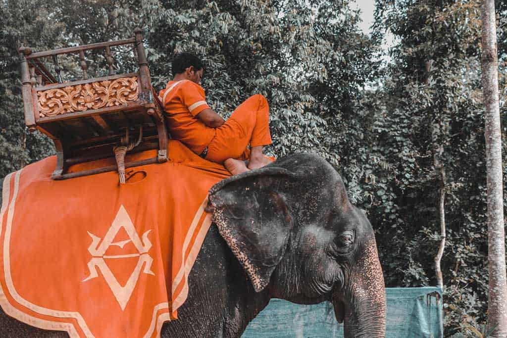 symbole éléphant