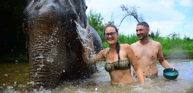 signification elephant thailande