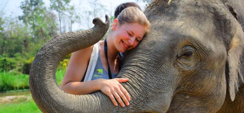 signification elephant thailande