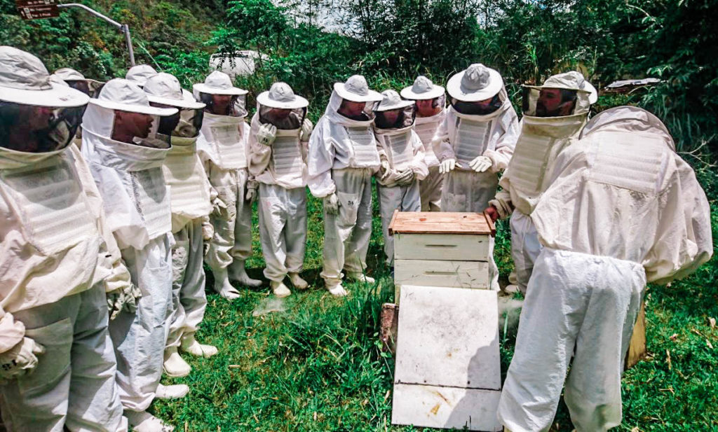 apiário amigos da terra em Nova Friburgo