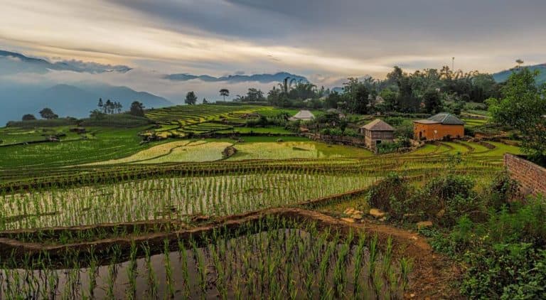 partir au vietnam