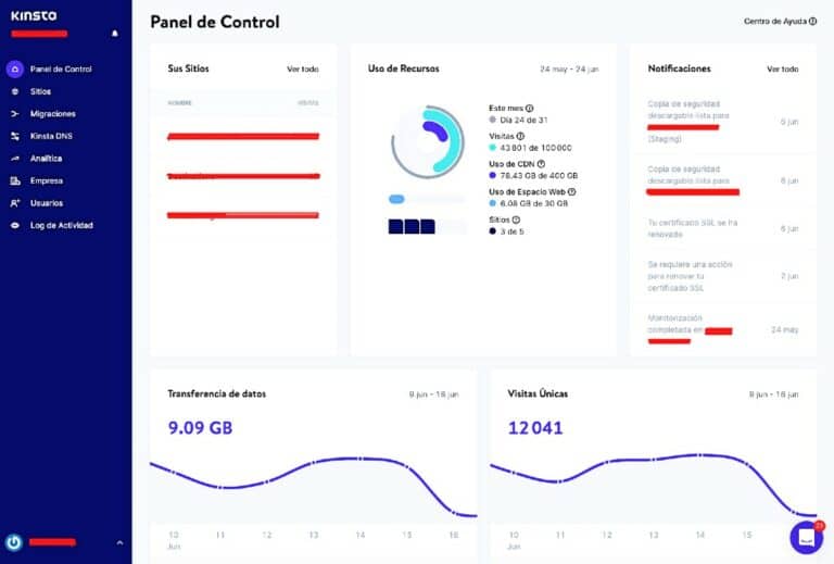 kinsta interface