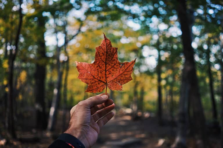 Seguro de viaje a Canadá