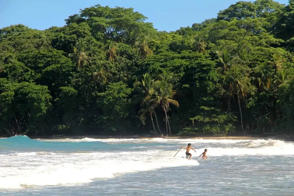Top 5 Seguros de viaje a Costa Rica para explorar flora y fauna 26 Seguro de Viaje a Costa Rica