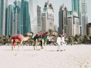 travel insurance to dubai