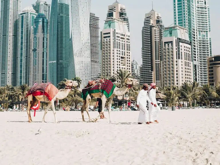travel insurance to dubai