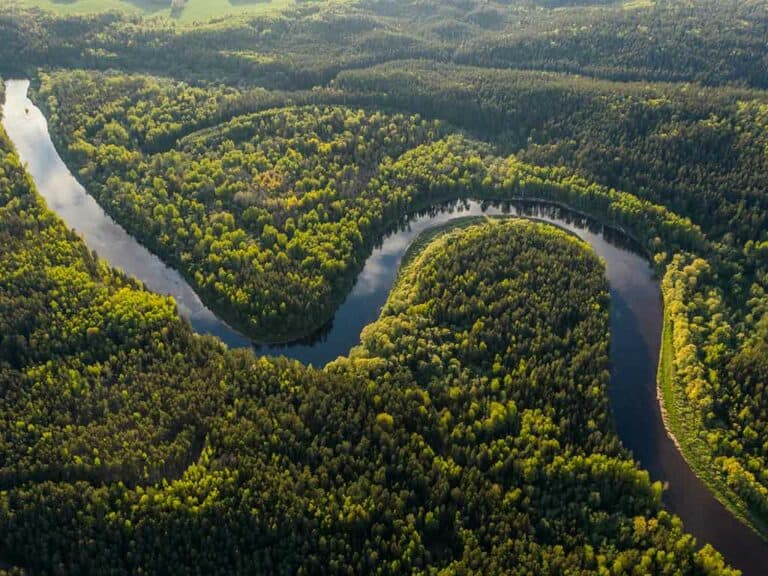 Seguro de viaje a Brasil para visitar el Amazonas