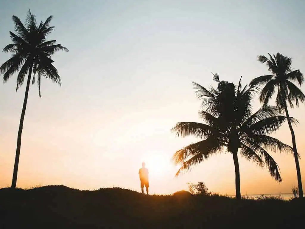 Dónde alojarse en Bali: mejores 17 zonas y 56 alojamientos en 2026 79 Canggu es una de las mejores zonas donde alojarse en Bali