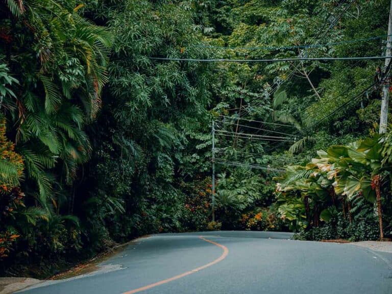 Mejor seguro de viaje a Costa Rica para visitar Manuel Antonio National Park