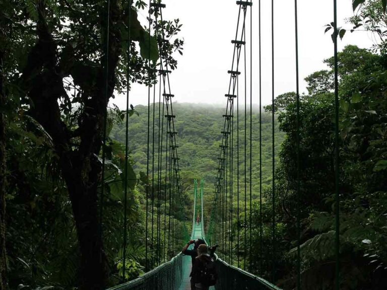 Mejor seguro de viaje a Costa Rica para visitar Monteverde