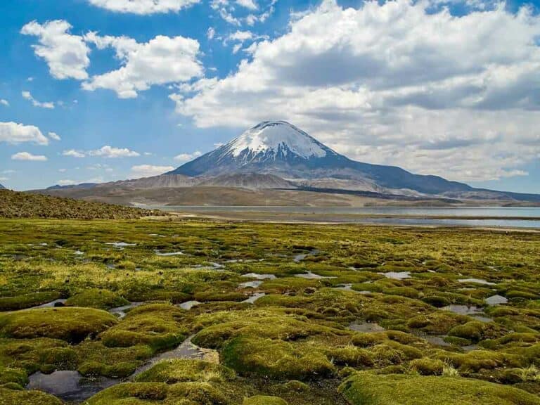 Seguro de viaje a Chile para visitar Putré